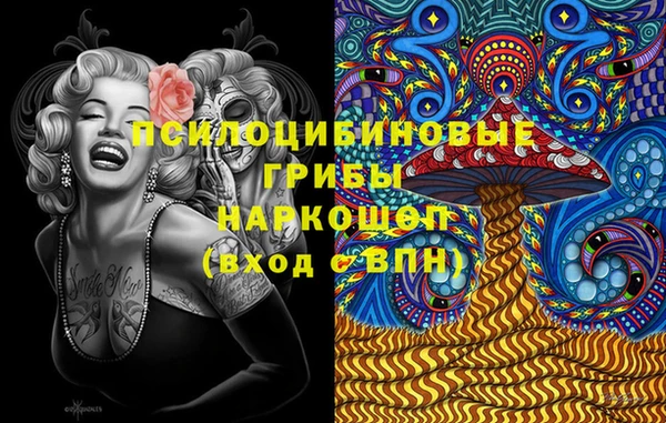 спиды Лиски
