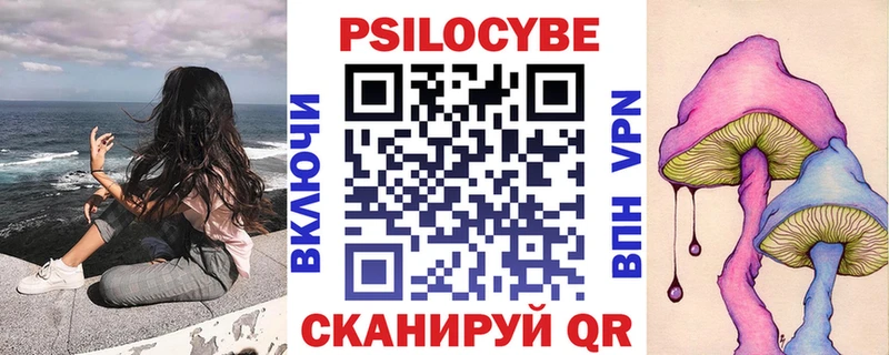Галлюциногенные грибы Psilocybe  как найти закладки  Балтийск 